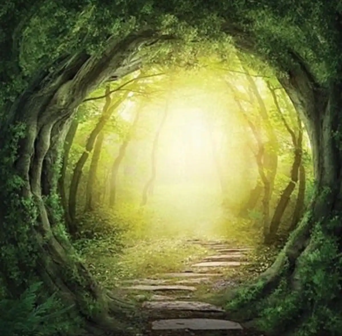 best nature dp for whatsapp best nature dp for whatsapp